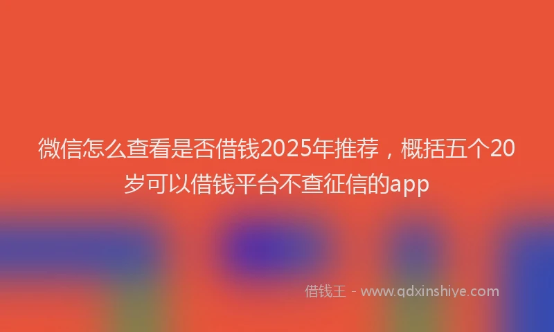 微信怎么查看是否借钱2025年推荐，概括五个20岁可以借钱平台不查征信的app