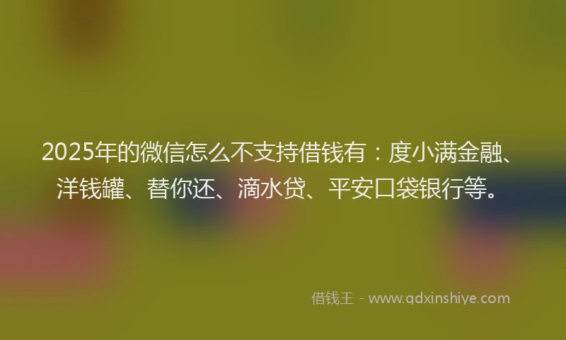 2025年的微信怎么不支持借钱有：度小满金融、洋钱罐、替你还、滴水贷、平安口袋银行等。