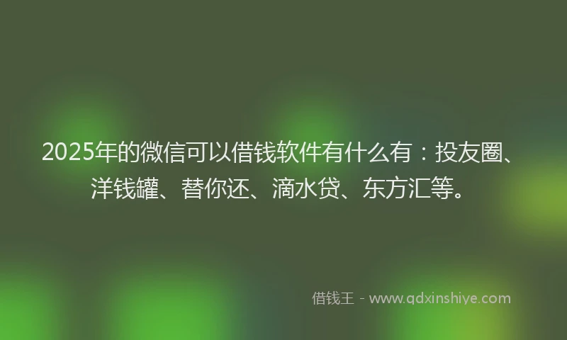 2025年的微信可以借钱软件有什么有：投友圈、洋钱罐、替你还、滴水贷、东方汇等。