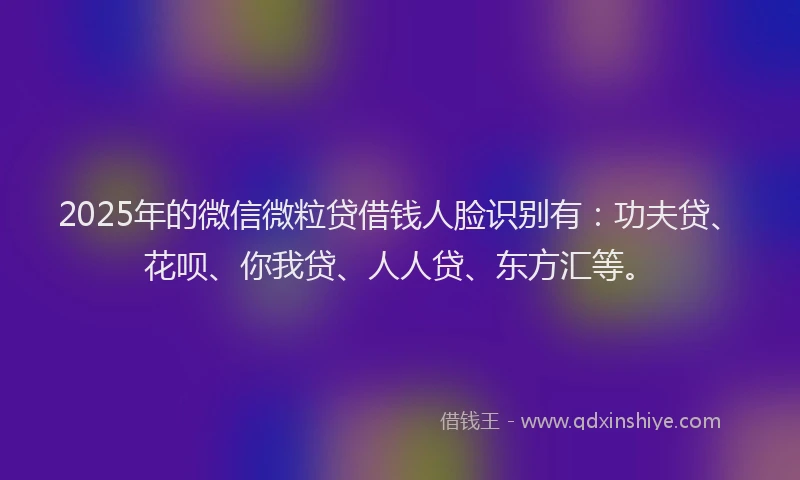 2025年的微信微粒贷借钱人脸识别有：功夫贷、花呗、你我贷、人人贷、东方汇等。