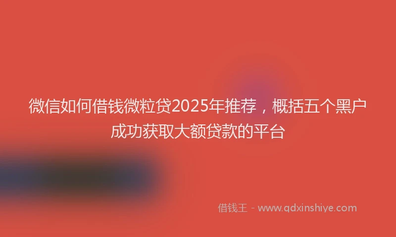 微信如何借钱微粒贷2025年推荐，概括五个黑户成功获取大额贷款的平台