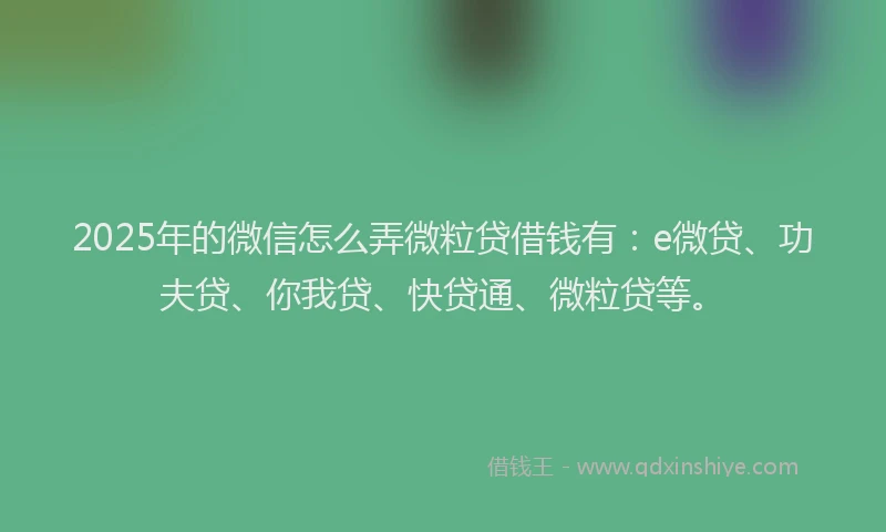2025年的微信怎么弄微粒贷借钱有：e微贷、功夫贷、你我贷、快贷通、微粒贷等。