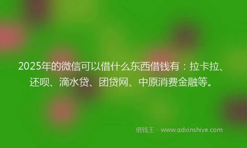 2025年的微信可以借什么东西借钱有：拉卡拉、还呗、滴水贷、团贷网、中原消费金融等。