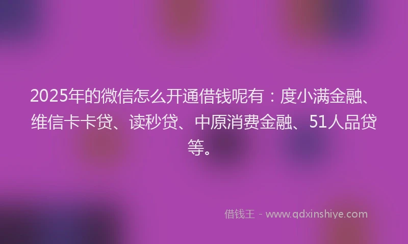 2025年的微信怎么开通借钱呢有：度小满金融、维信卡卡贷、读秒贷、中原消费金融、51人品贷等。