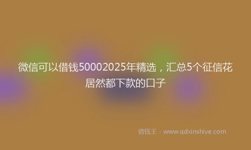 微信可以借钱50002025年精选，汇总5个征信花居然都下款的口子
