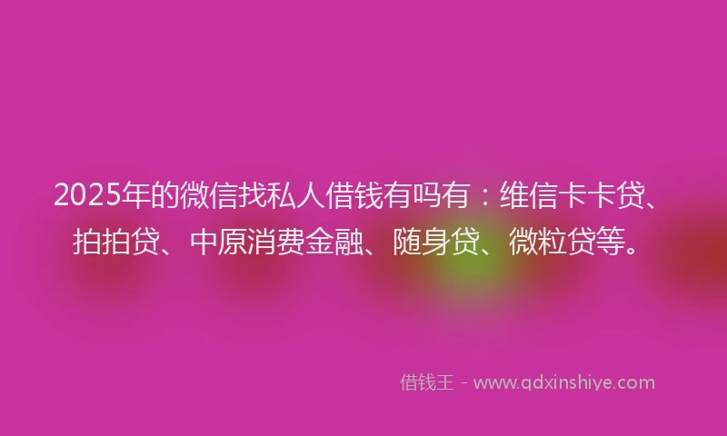 2025年的微信找私人借钱有吗有：维信卡卡贷、拍拍贷、中原消费金融、随身贷、微粒贷等。