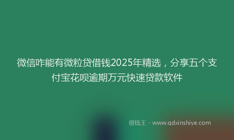 微信咋能有微粒贷借钱2025年精选，分享五个支付宝花呗逾期万元快速贷款软件