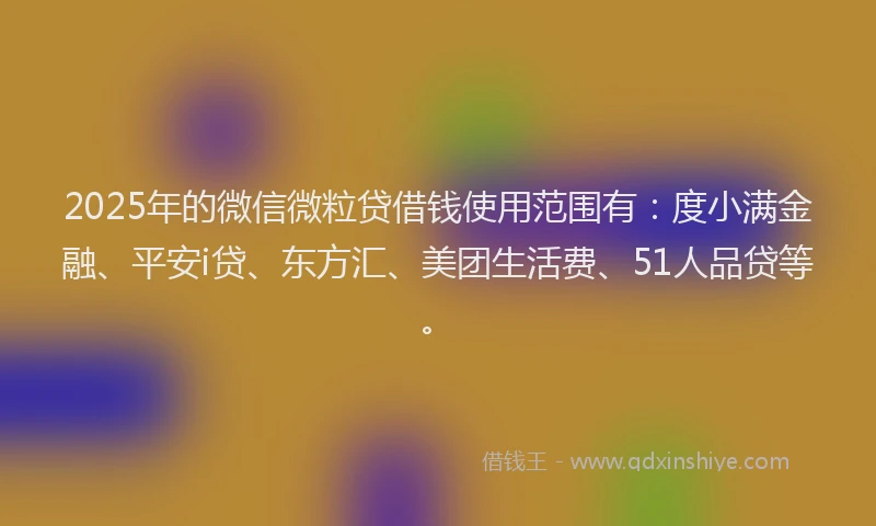 2025年的微信微粒贷借钱使用范围有：度小满金融、平安i贷、东方汇、美团生活费、51人品贷等。