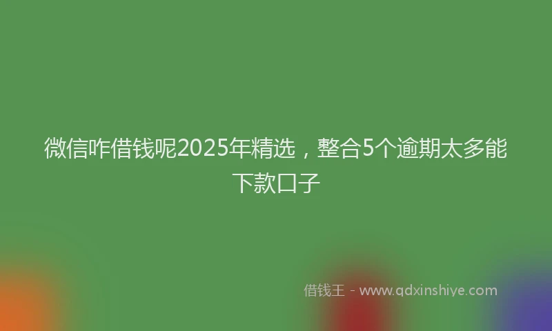 微信咋借钱呢2025年精选，整合5个逾期太多能下款口子
