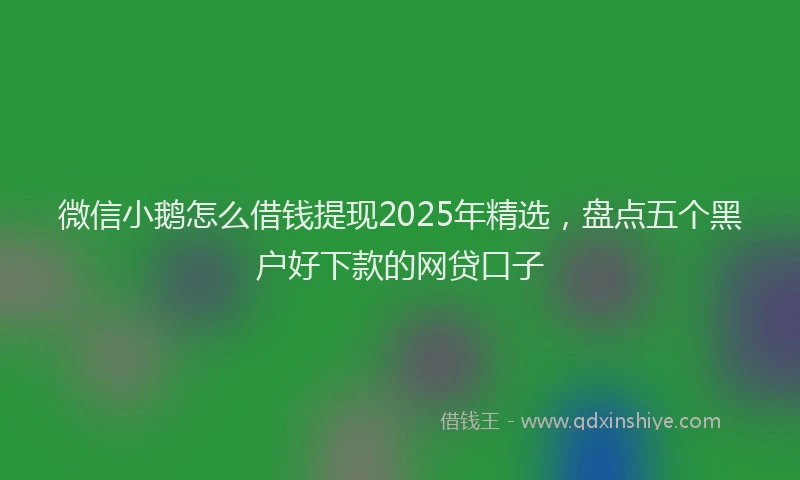 微信小鹅怎么借钱提现2025年精选，盘点五个黑户好下款的网贷口子