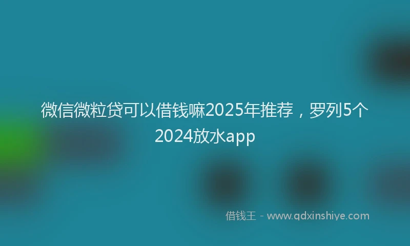 微信微粒贷可以借钱嘛2025年推荐，罗列5个2024放水app