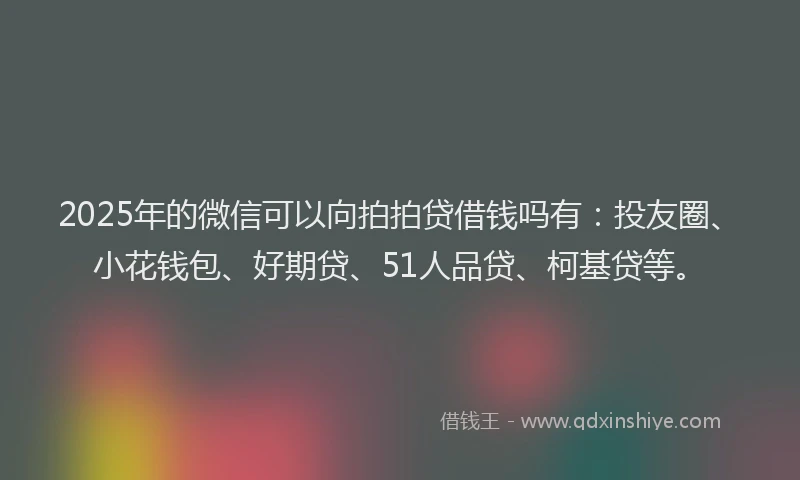 2025年的微信可以向拍拍贷借钱吗有：投友圈、小花钱包、好期贷、51人品贷、柯基贷等。