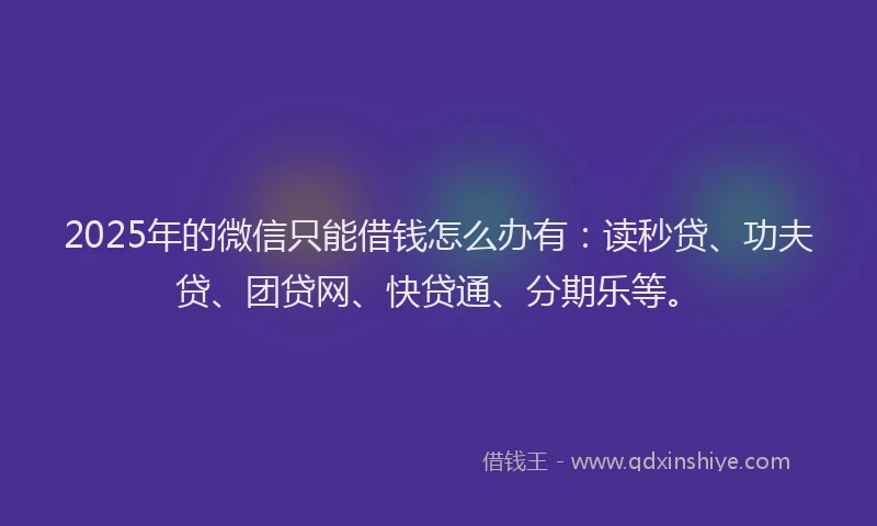 2025年的微信只能借钱怎么办有：读秒贷、功夫贷、团贷网、快贷通、分期乐等。