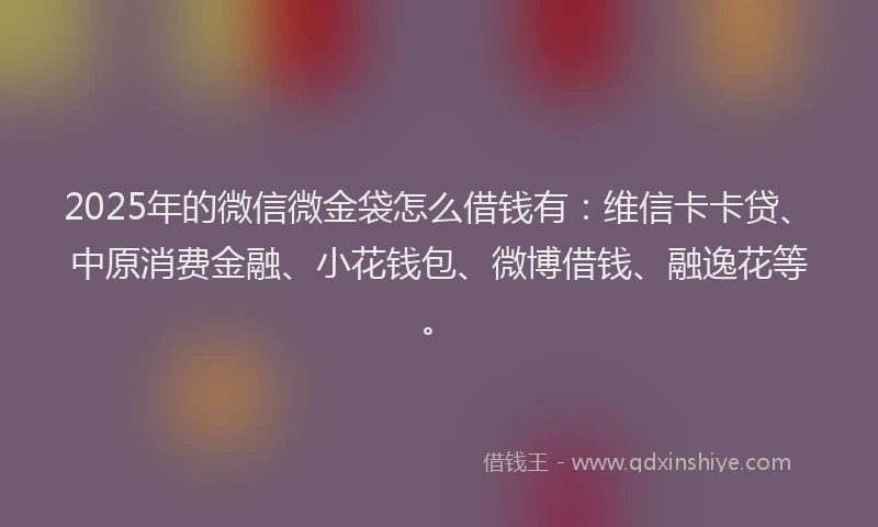 2025年的微信微金袋怎么借钱有：维信卡卡贷、中原消费金融、小花钱包、微博借钱、融逸花等。