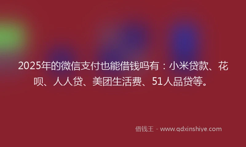 2025年的微信支付也能借钱吗有：小米贷款、花呗、人人贷、美团生活费、51人品贷等。