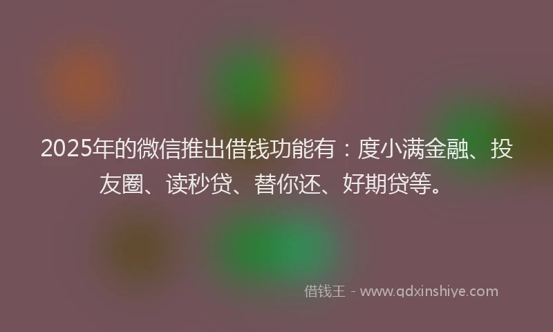 2025年的微信推出借钱功能有：度小满金融、投友圈、读秒贷、替你还、好期贷等。