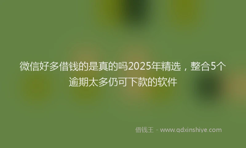 微信好多借钱的是真的吗2025年精选，整合5个逾期太多仍可下款的软件