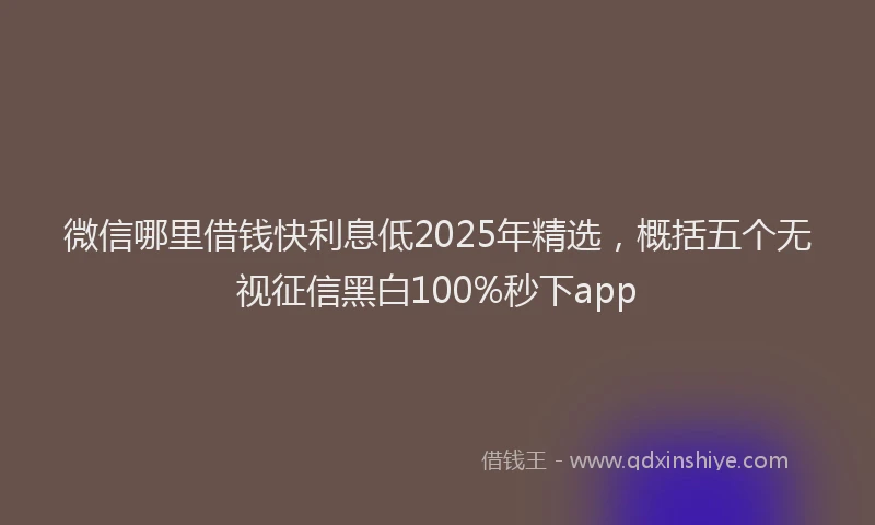 微信哪里借钱快利息低2025年精选，概括五个无视征信黑白100%秒下app