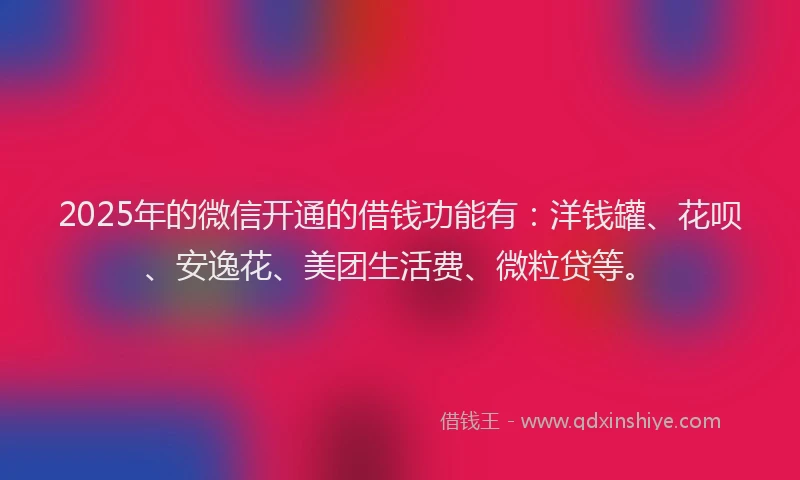 2025年的微信开通的借钱功能有：洋钱罐、花呗、安逸花、美团生活费、微粒贷等。