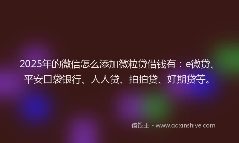 2025年的微信怎么添加微粒贷借钱有：e微贷、平安口袋银行、人人贷、拍拍贷、好期贷等。