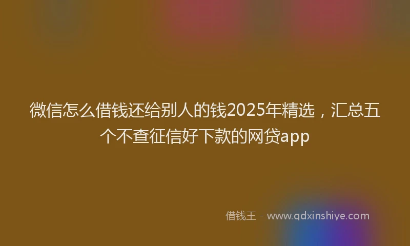微信怎么借钱还给别人的钱2025年精选，汇总五个不查征信好下款的网贷app