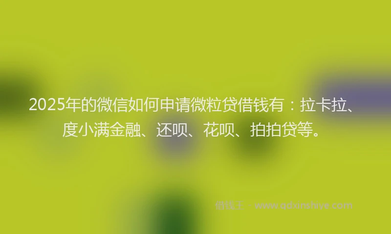 2025年的微信如何申请微粒贷借钱有：拉卡拉、度小满金融、还呗、花呗、拍拍贷等。