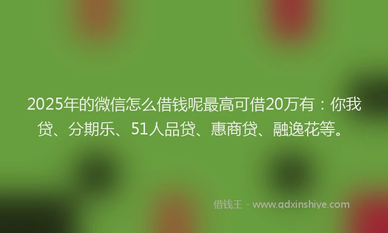 2025年的微信怎么借钱呢最高可借20万有：你我贷、分期乐、51人品贷、惠商贷、融逸花等。