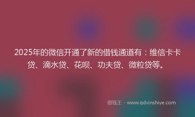 2025年的微信开通了新的借钱通道有：维信卡卡贷、滴水贷、花呗、功夫贷、微粒贷等。