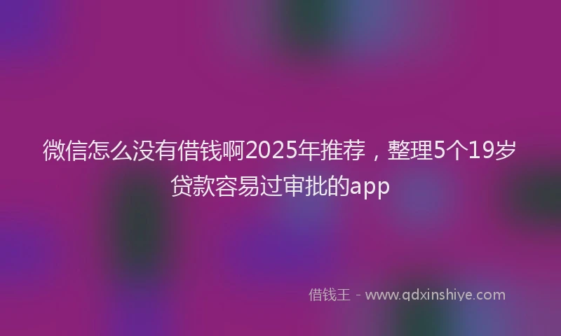 微信怎么没有借钱啊2025年推荐，整理5个19岁贷款容易过审批的app