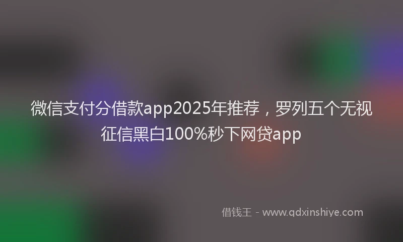 微信支付分借款app2025年推荐，罗列五个无视征信黑白100%秒下网贷app