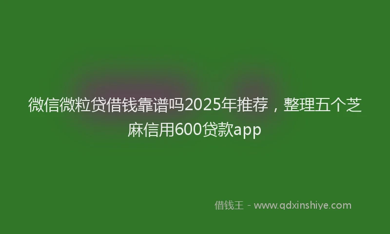 微信微粒贷借钱靠谱吗2025年推荐，整理五个芝麻信用600贷款app