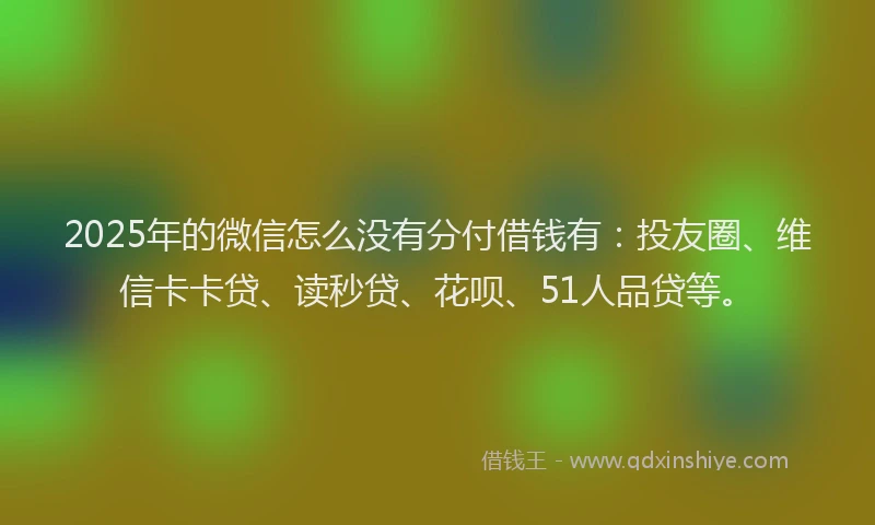 2025年的微信怎么没有分付借钱有：投友圈、维信卡卡贷、读秒贷、花呗、51人品贷等。