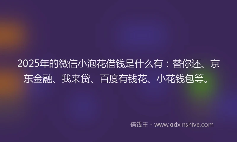 2025年的微信小泡花借钱是什么有：替你还、京东金融、我来贷、百度有钱花、小花钱包等。