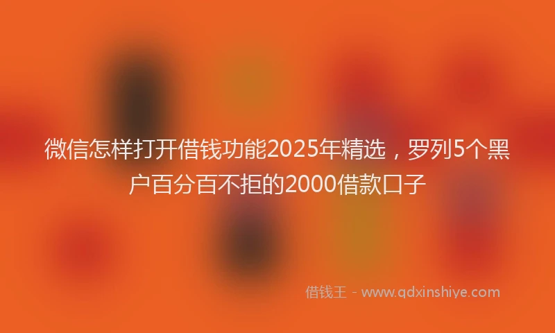 微信怎样打开借钱功能2025年精选，罗列5个黑户百分百不拒的2000借款口子