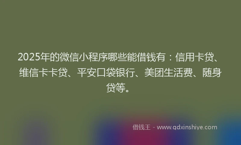 2025年的微信小程序哪些能借钱有:信用卡贷、维信卡卡贷、平安口袋银行、美团生活费、随身贷等。