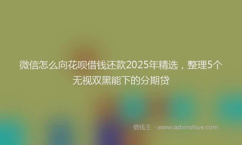 微信怎么向花呗借钱还款2025年精选，整理5个无视双黑能下的分期贷