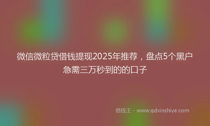 微信微粒贷借钱提现2025年推荐，盘点5个黑户急需三万秒到的的口子