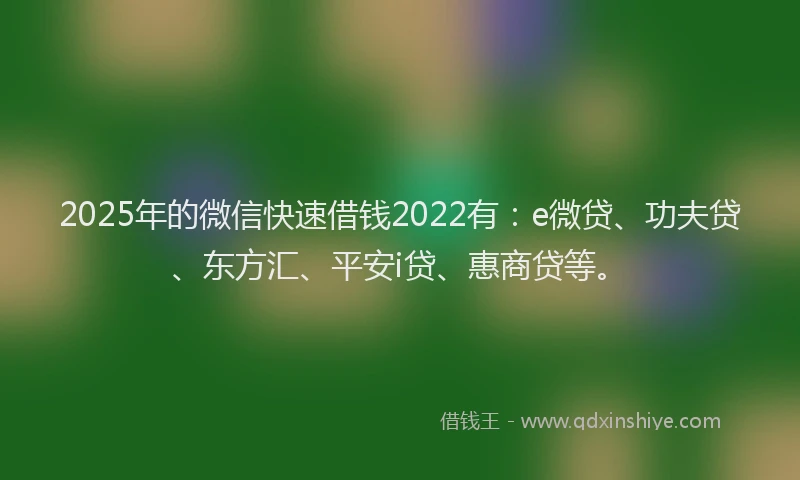 2025年的微信快速借钱2022有：e微贷、功夫贷、东方汇、平安i贷、惠商贷等。