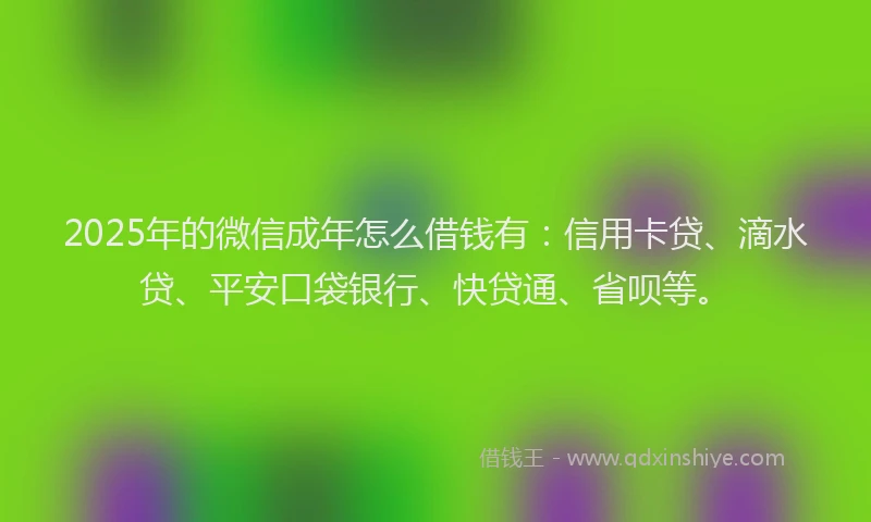 2025年的微信成年怎么借钱有：信用卡贷、滴水贷、平安口袋银行、快贷通、省呗等。