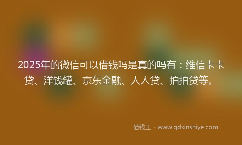 2025年的微信可以借钱吗是真的吗有：维信卡卡贷、洋钱罐、京东金融、人人贷、拍拍贷等。