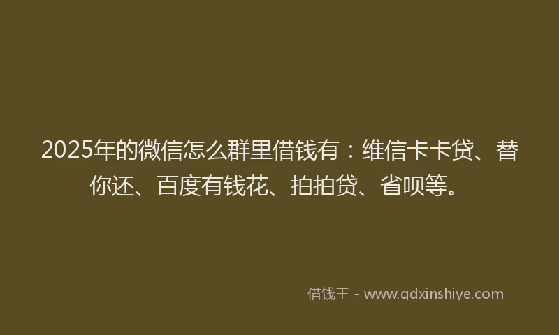2025年的微信怎么群里借钱有：维信卡卡贷、替你还、百度有钱花、拍拍贷、省呗等。