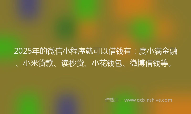 2025年的微信小程序就可以借钱有：度小满金融、小米贷款、读秒贷、小花钱包、微博借钱等。