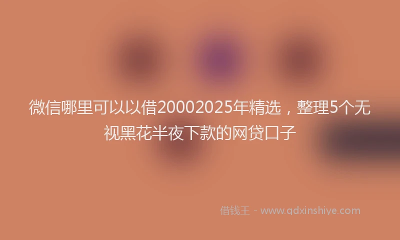 微信哪里可以以借20002025年精选，整理5个无视黑花半夜下款的网贷口子