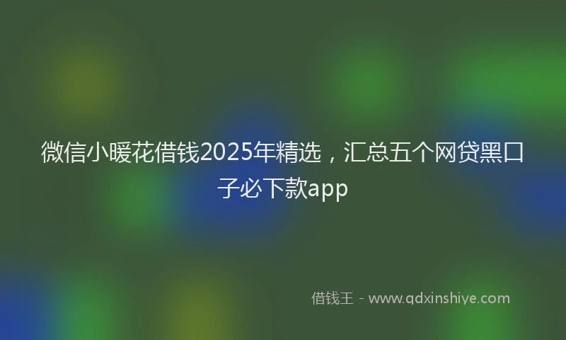 微信小暖花借钱2025年精选，汇总五个网贷黑口子必下款app