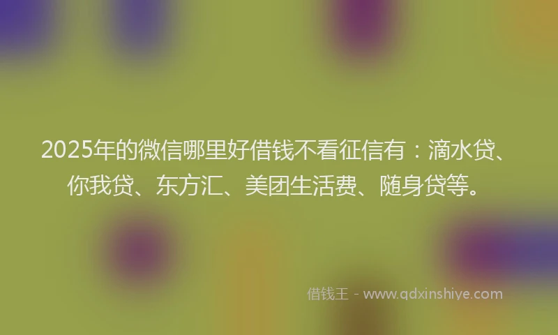 2025年的微信哪里好借钱不看征信有：滴水贷、你我贷、东方汇、美团生活费、随身贷等。