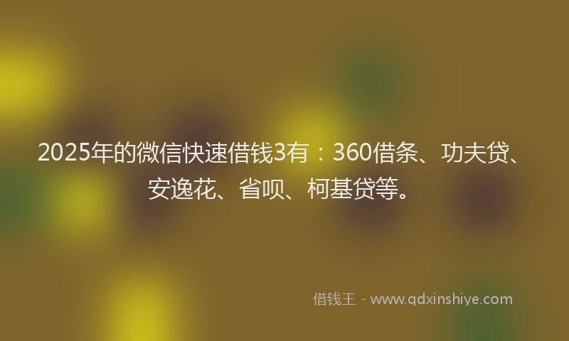 2025年的微信快速借钱3有：360借条、功夫贷、安逸花、省呗、柯基贷等。
