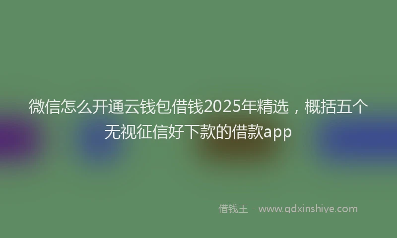 微信怎么开通云钱包借钱2025年精选，概括五个无视征信好下款的借款app
