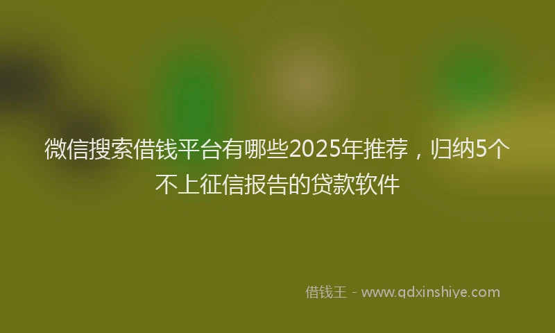 微信搜索借钱平台有哪些2025年推荐，归纳5个不上征信报告的贷款软件