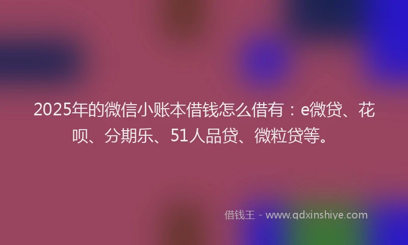 2025年的微信小账本借钱怎么借有：e微贷、花呗、分期乐、51人品贷、微粒贷等。