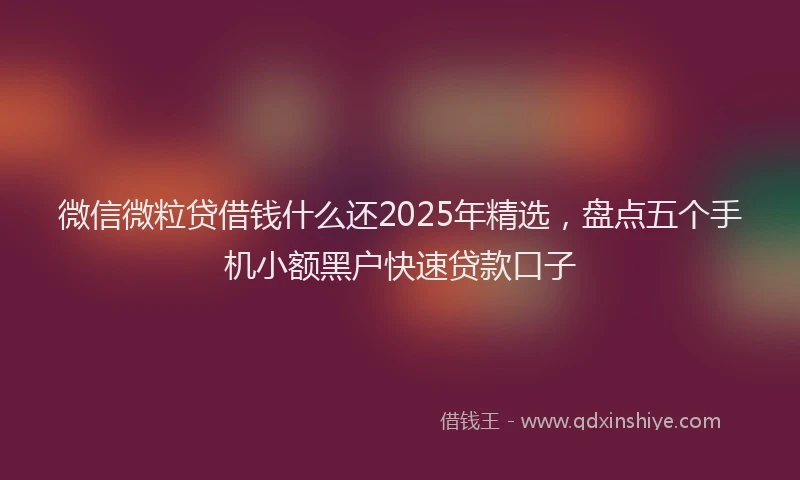 微信微粒贷借钱什么还2025年精选，盘点五个手机小额黑户快速贷款口子
